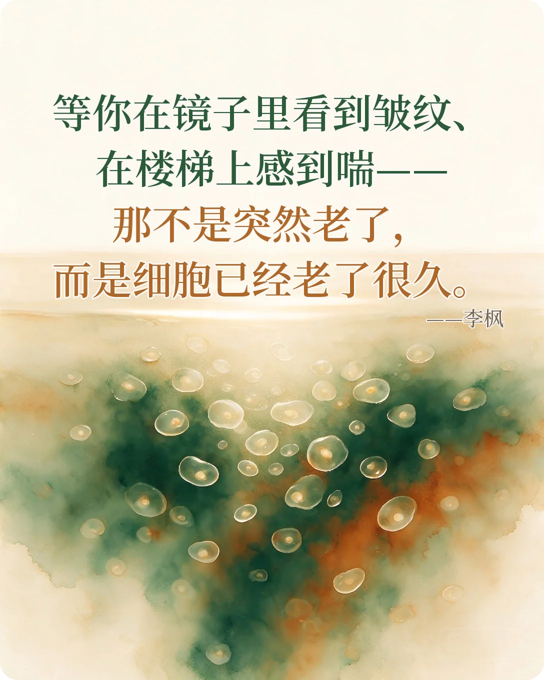 等你在镜子里看到皱纹、在楼梯上感到喘——那不是突然老了，而是细胞已经老了很久。— 李枫