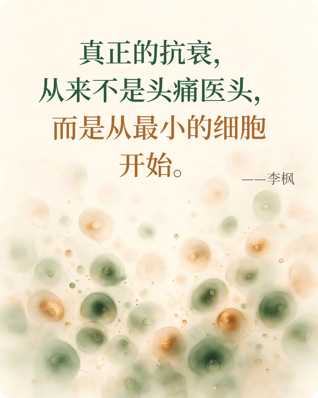 真正的抗衰，从来不是头痛医头，而是从最小的细胞开始。——李枫