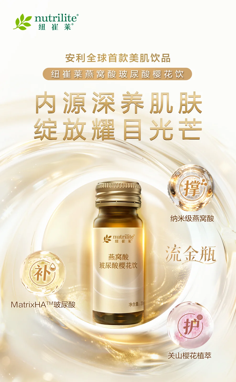 三条通道汇入皮肤支撑网，象征补、撑、护三个方向