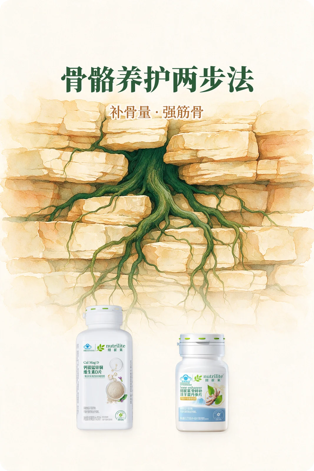 骨骼养护两步法：补骨量·强筋骨