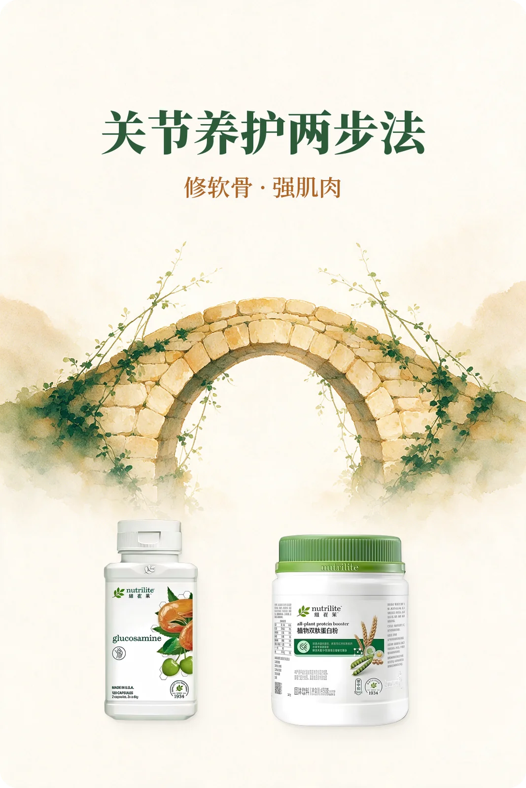 关节养护两步法：修软骨·强肌肉